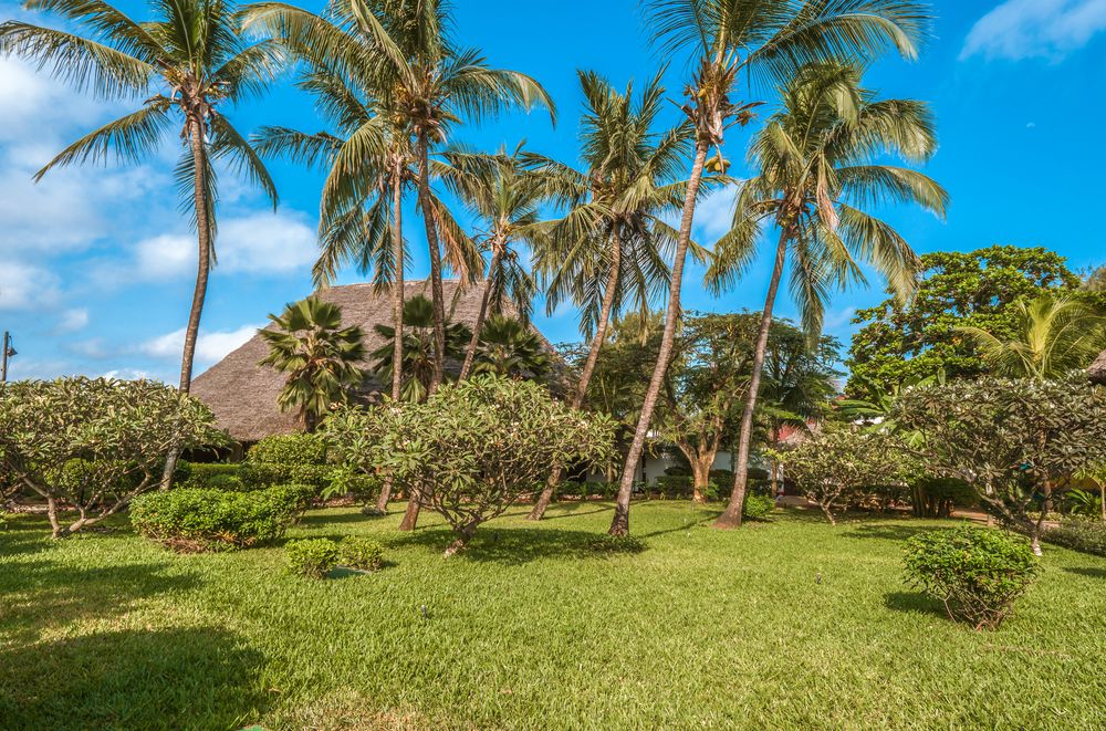 Nungwi Beach Resort by Turaco фото 104