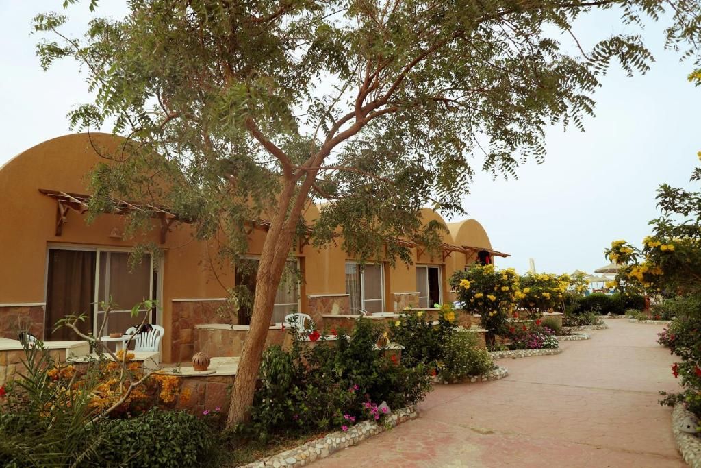 Silver Beach Redsea Resort фото 42