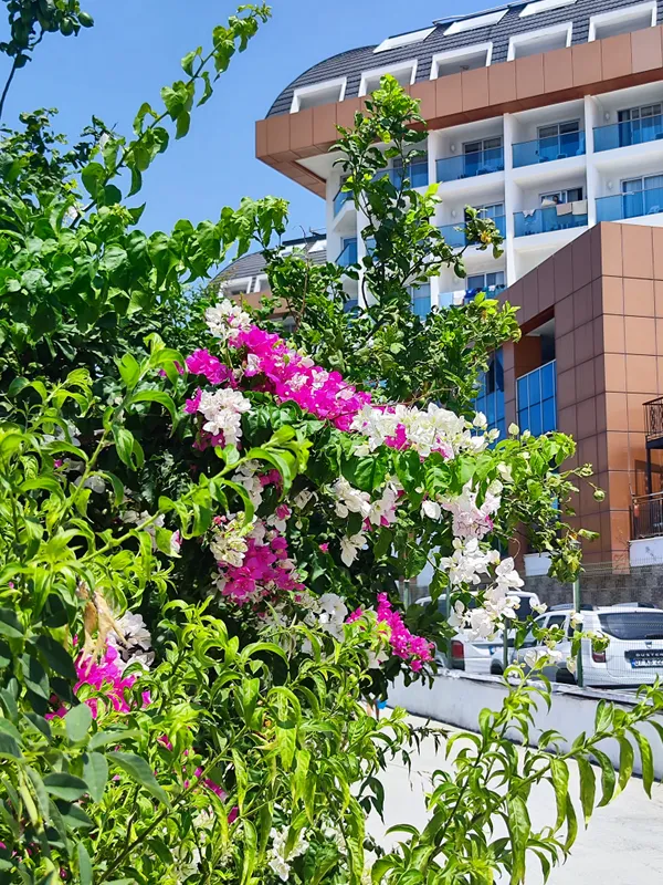 Throne Beach Resort & Spa фото 119