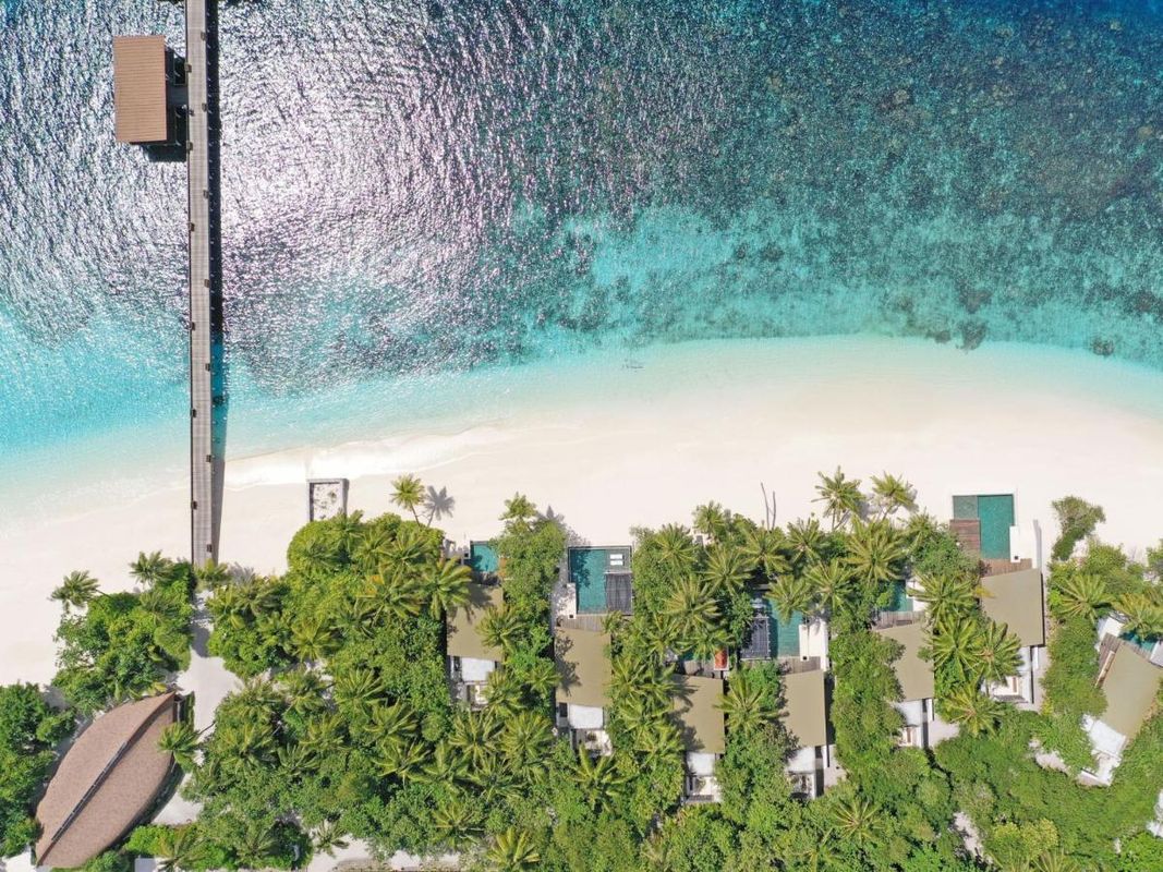 Park Hyatt Maldives Hadahaa фото 12