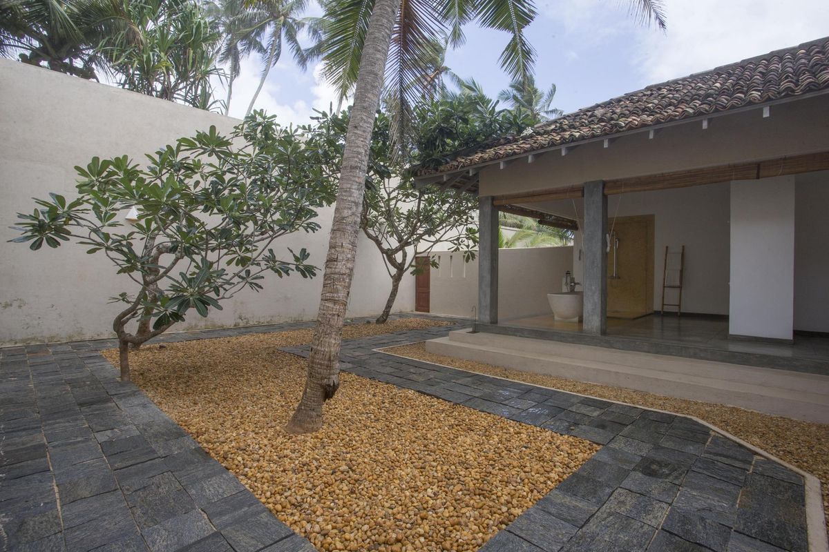 The Frangipani Tree by Edwards Collection фото 45