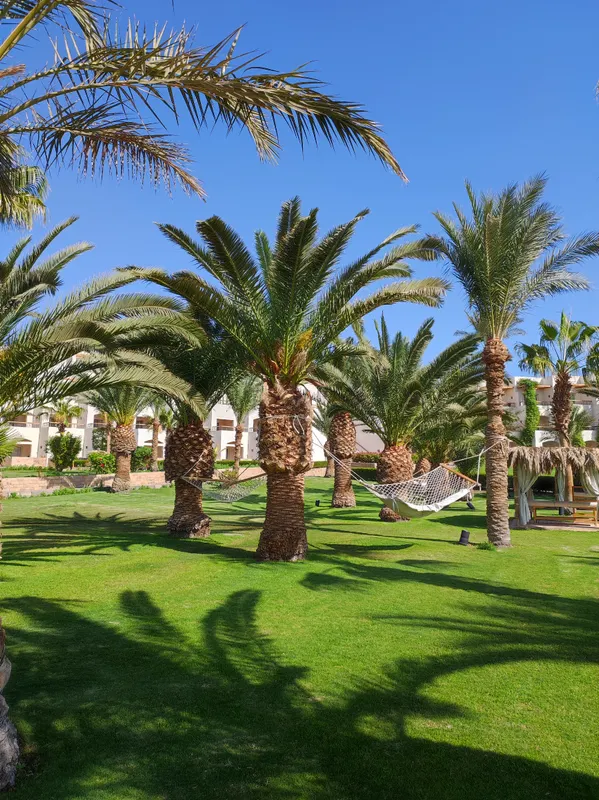 Fort Arabesque Resort, Spa & Villas фото 38
