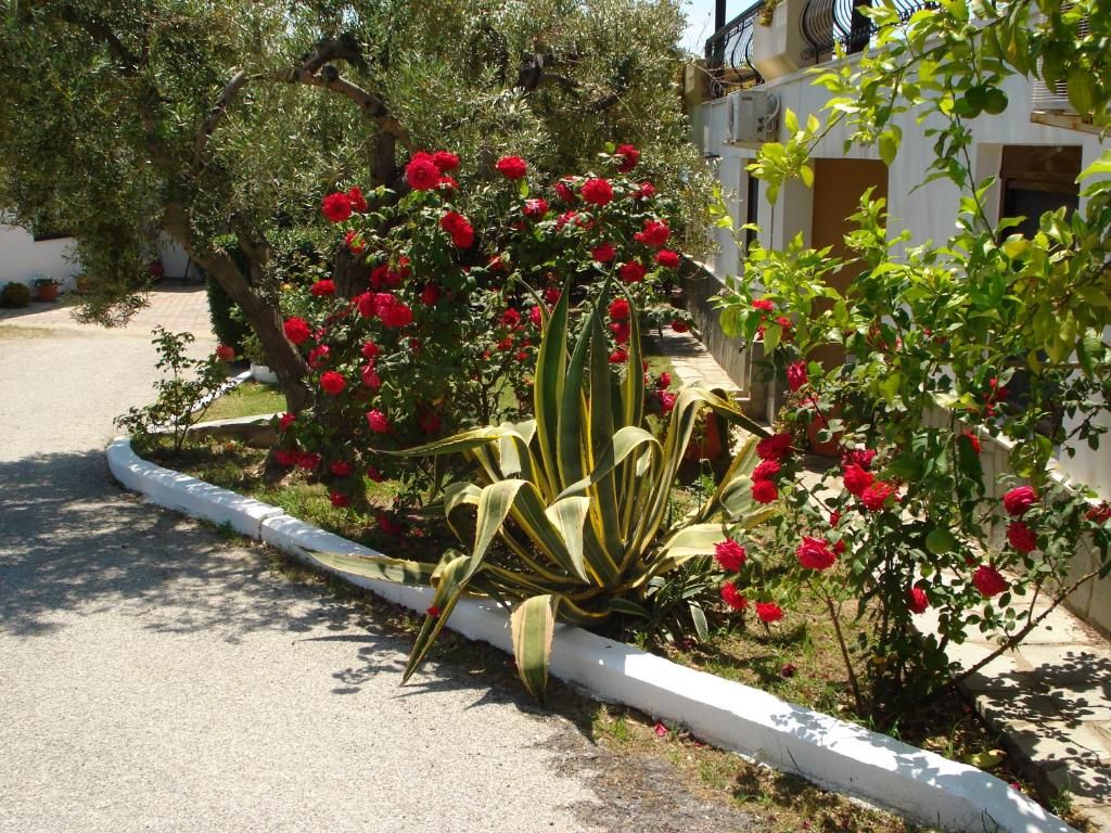 Asteris Village фото 4