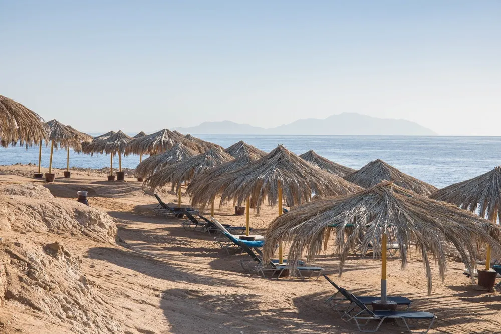 Sharm Club Beach Resort фото 39