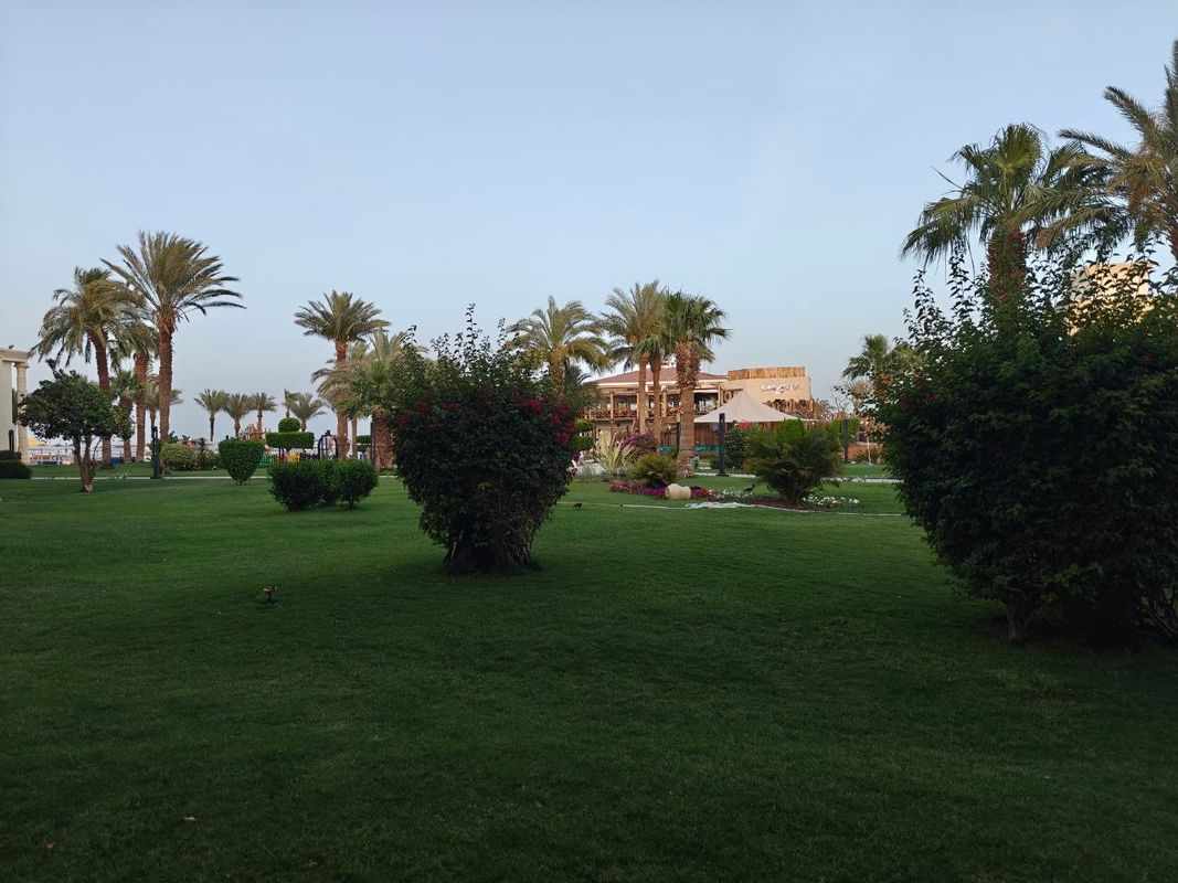 Swiss Inn Resort Hurghada фото 69