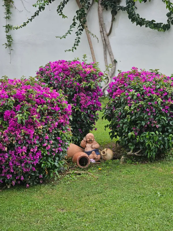 Selcukhan Hotel фото 46
