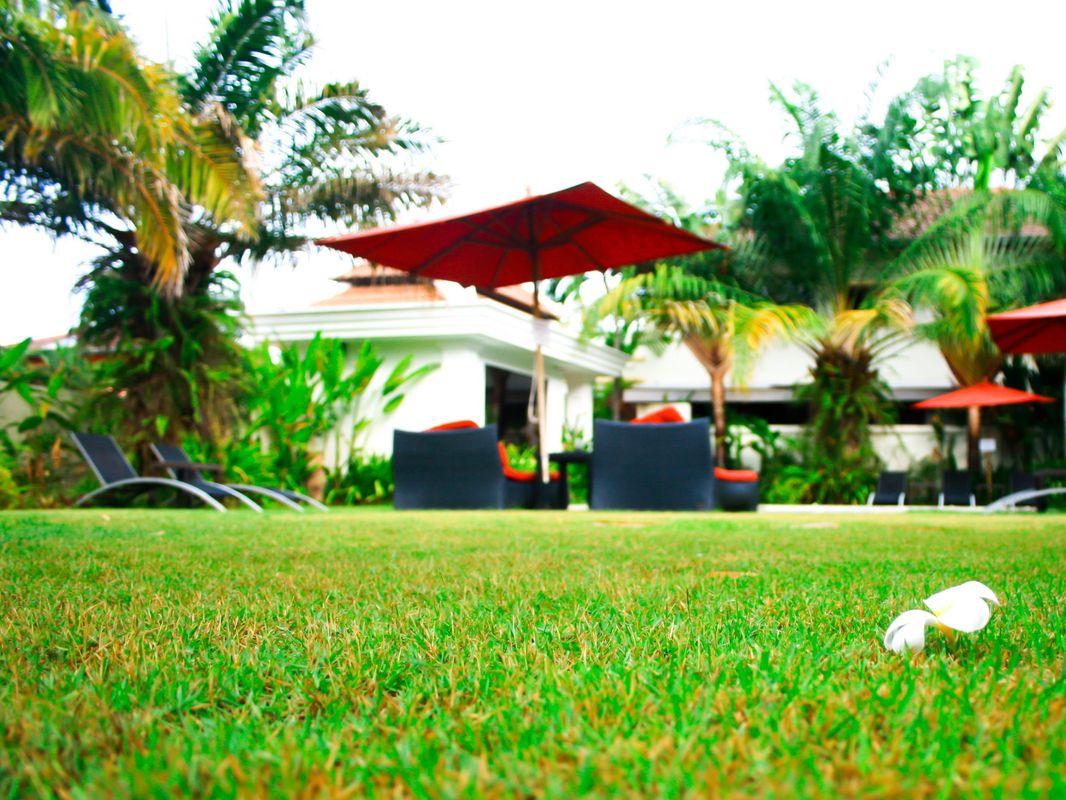 Palm Grove Resort фото 23