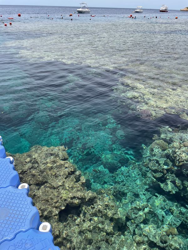 Concorde El Salam Sharm El Sheikh Front Hotel фото 70