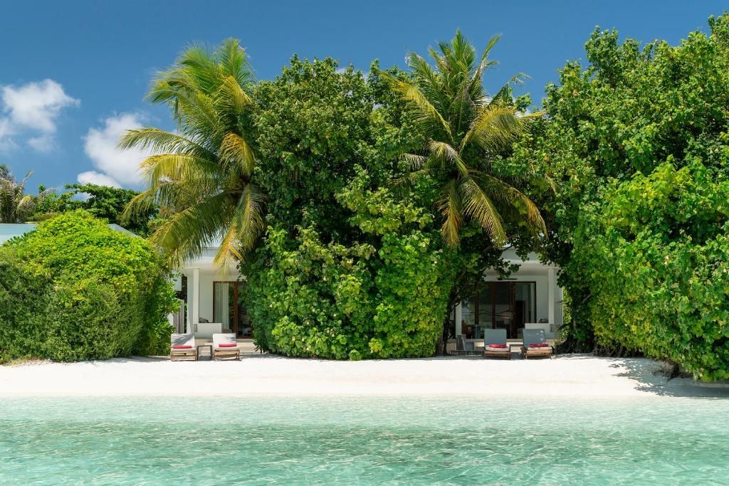 Niva Dhigali Maldives фото 79