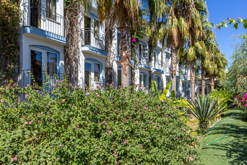Smart Stay Beach Bodrum фото 85