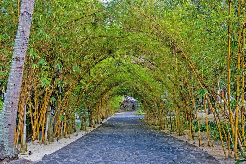 Seasense Boutique Hotel & Spa (Adults Only) фото 77