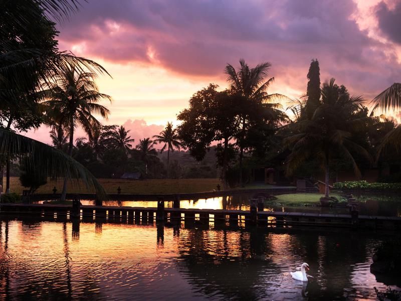 Tanah Gajah, a Resort by Hadiprana фото 28