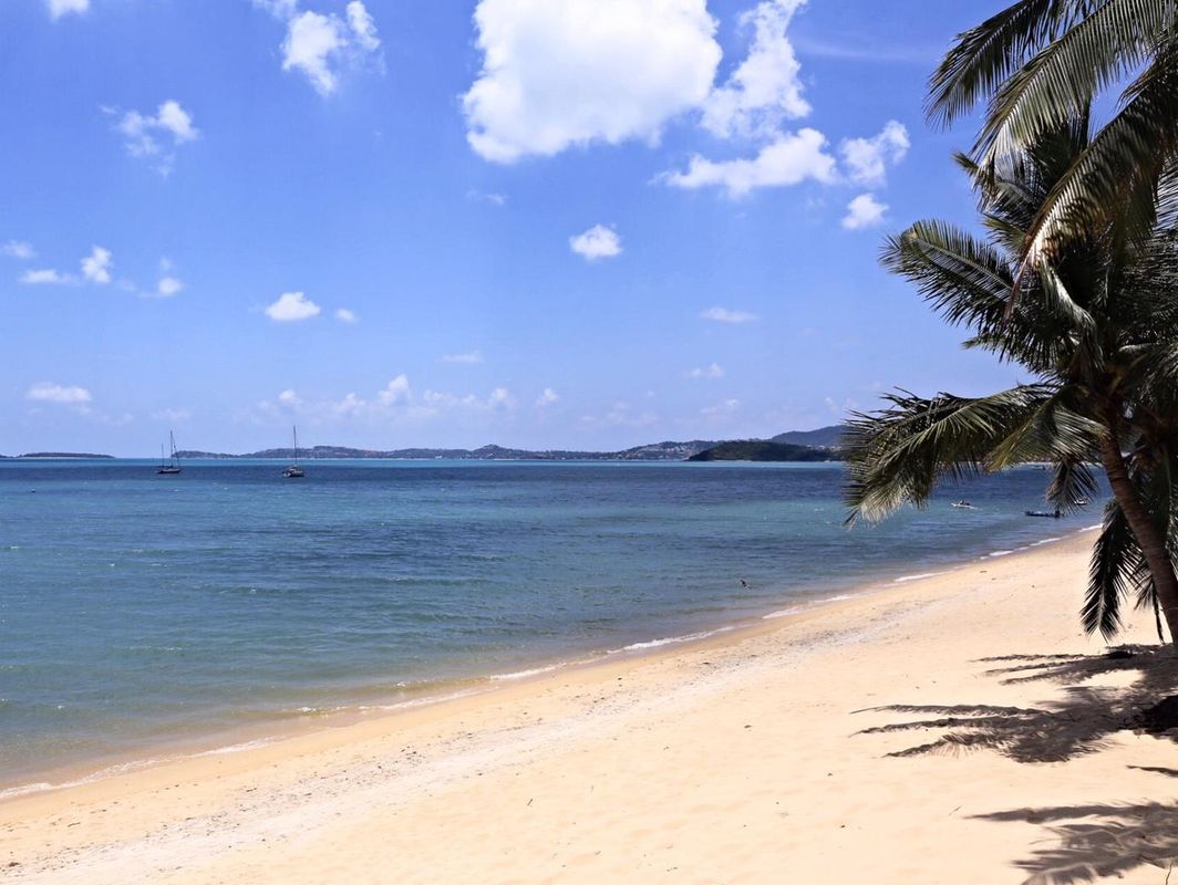 Samui Palm Beach Resort фото 15