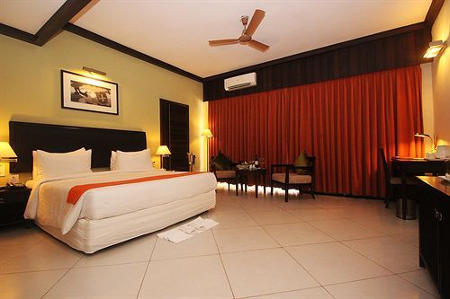 Living Room фото 17