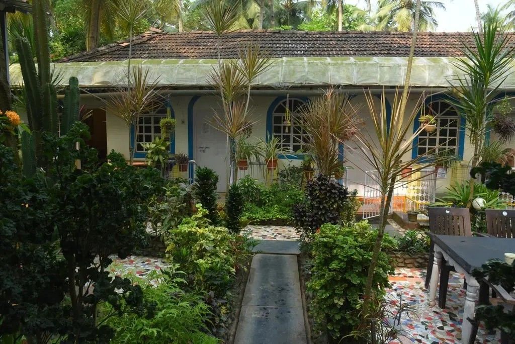 Guest House «Zappia Cove Guesthouse» фото 10