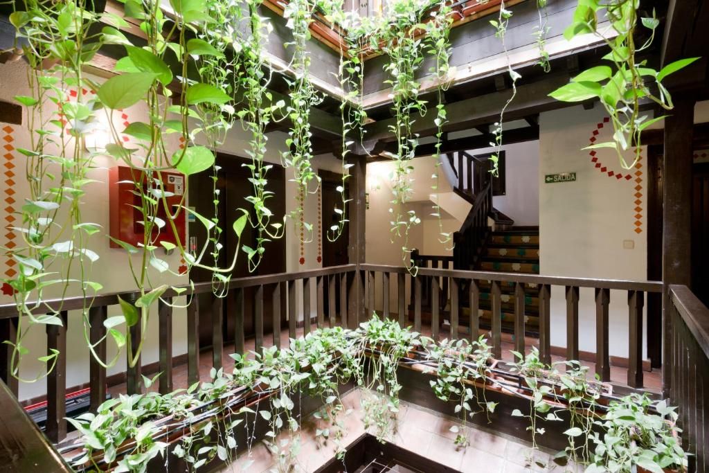 Oasis Backpackers Hostel Granada фото 8