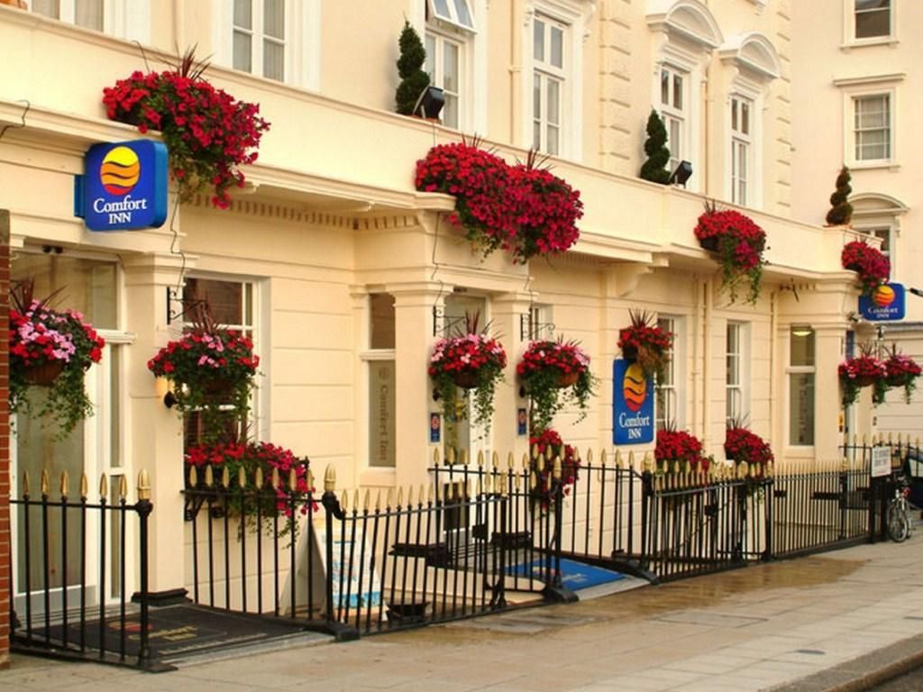Comfort Inn Buckingham Palace Road фото 12