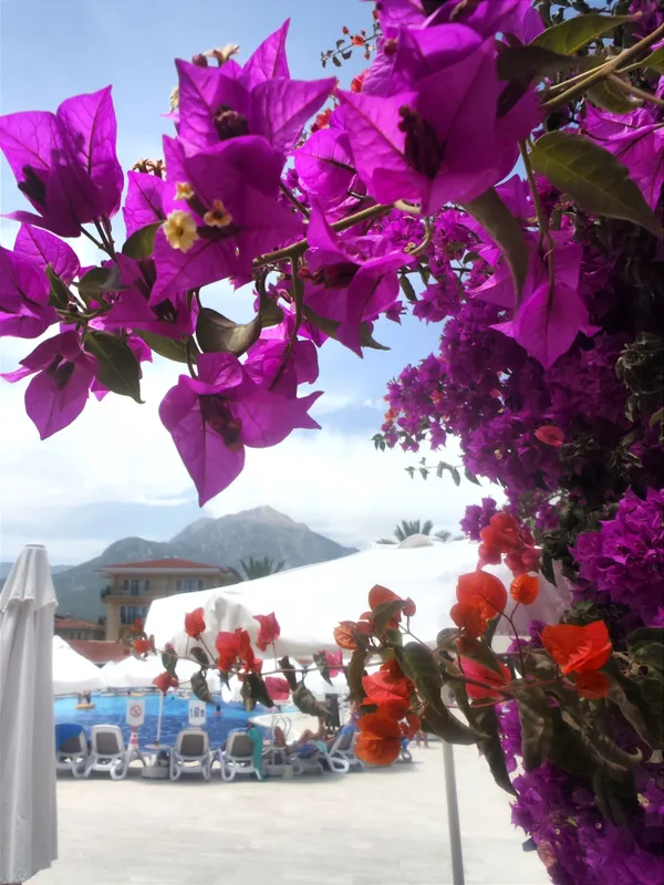 Club Hotel Phaselis Rose фото 102