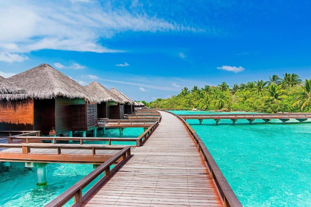 Sheraton Maldives Full Moon Resort & Spa фото 49