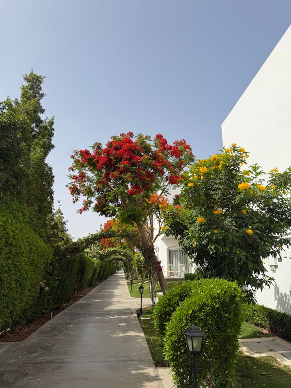 Jaz Fanara Resort & Residence фото 47