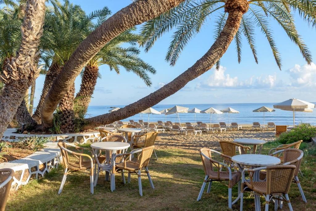 Zeus Hotels Palm Beach фото 28