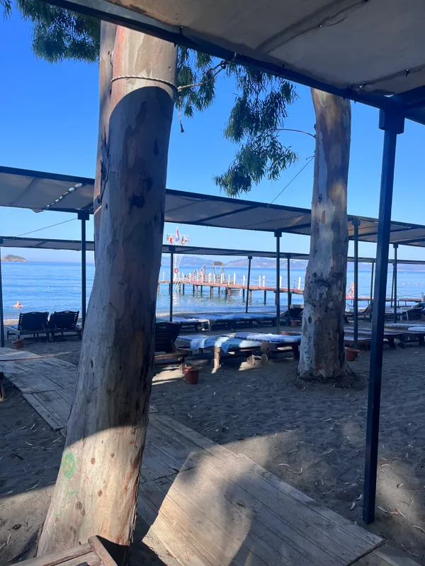 Lykia Botanika Beach Hotel фото 60