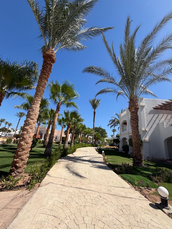 Continental Plaza Beach Resort фото 68