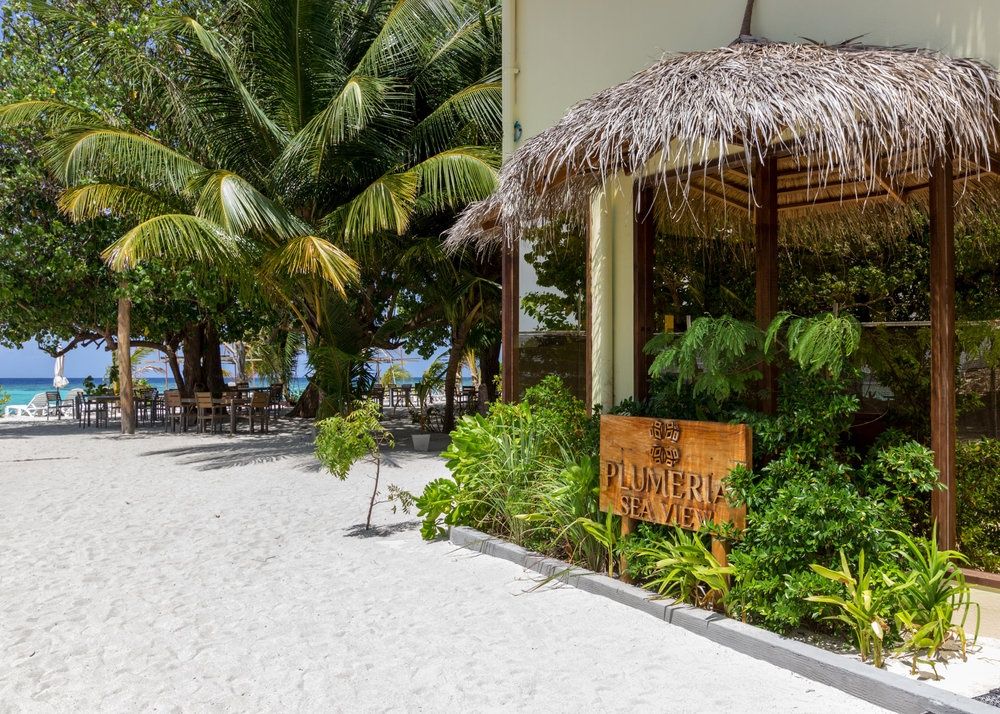 Guest House ««Plumeria Maldives» Guest House» фото 118