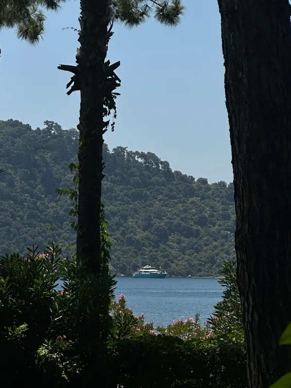 Grand Yazici Club Marmaris Palace фото 65
