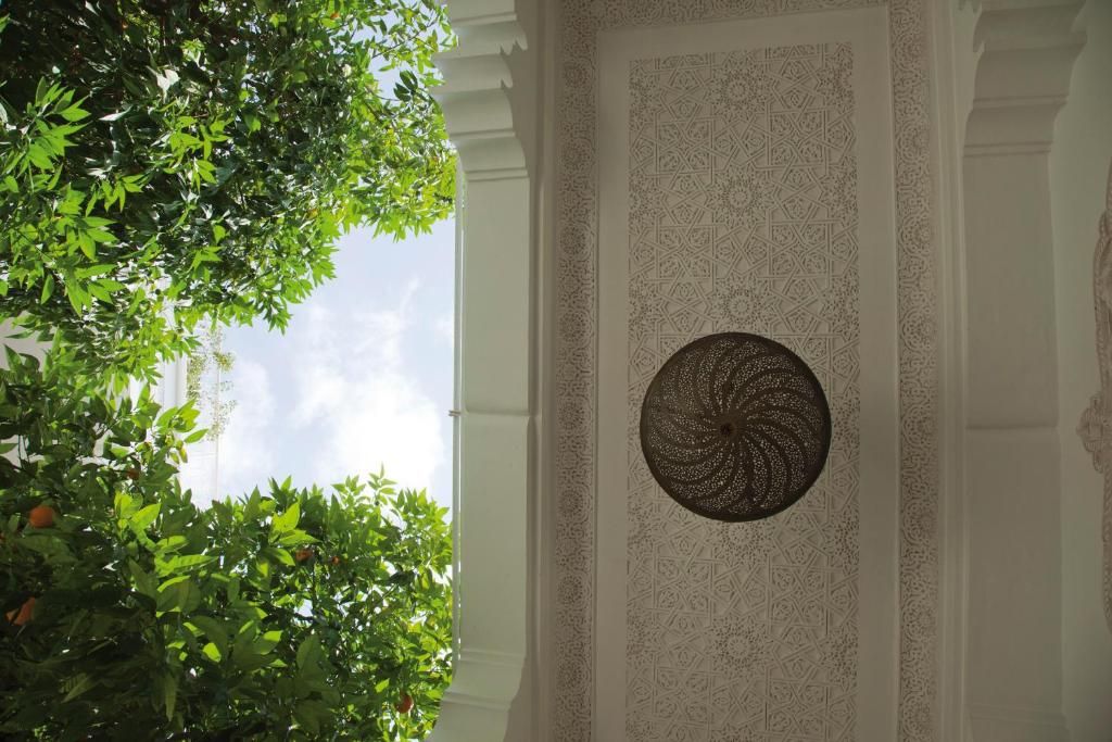 Riad Ifoulki фото 8