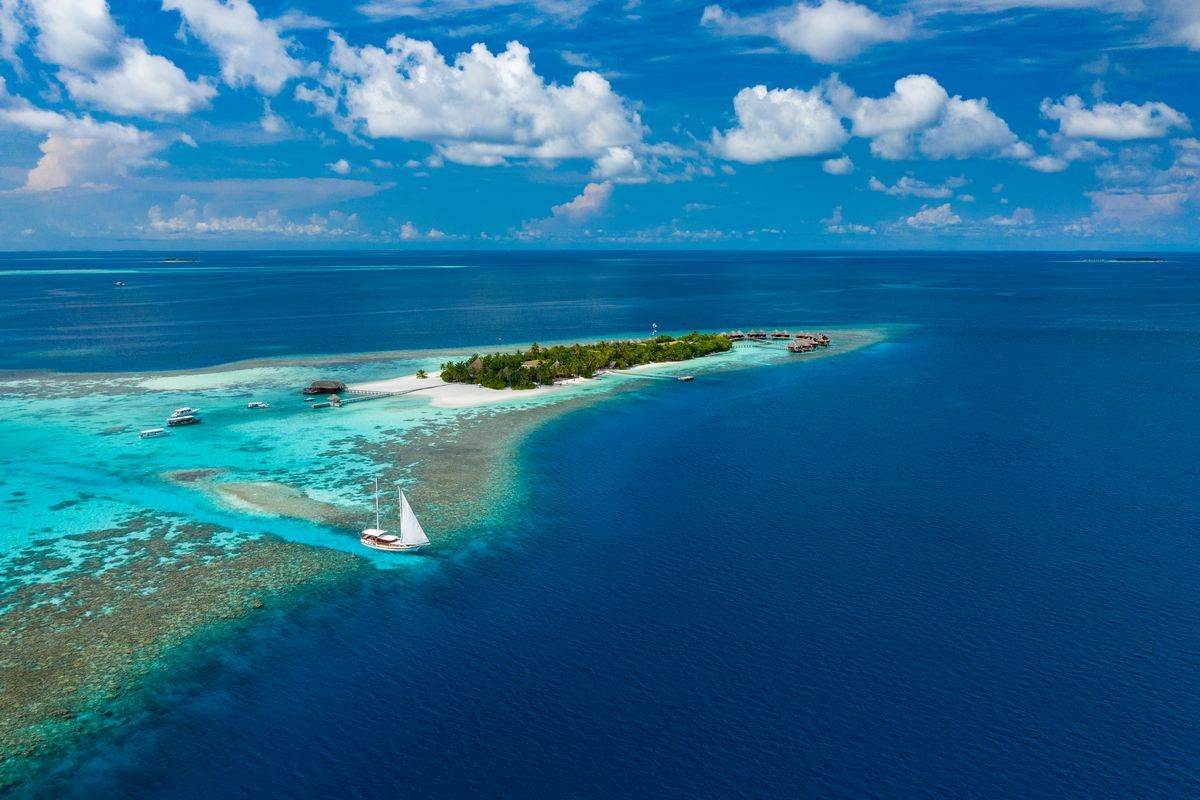 V Villas Maldives at Mirihi фото 13