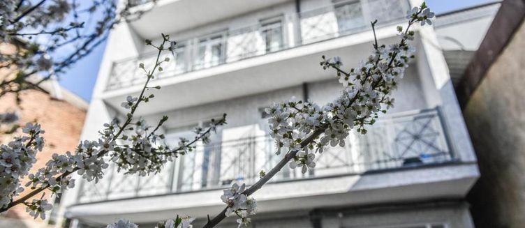 Фото отеля MariaLuis Hotel