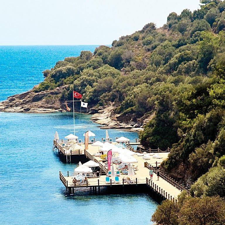 Paloma Pasha фото 44
