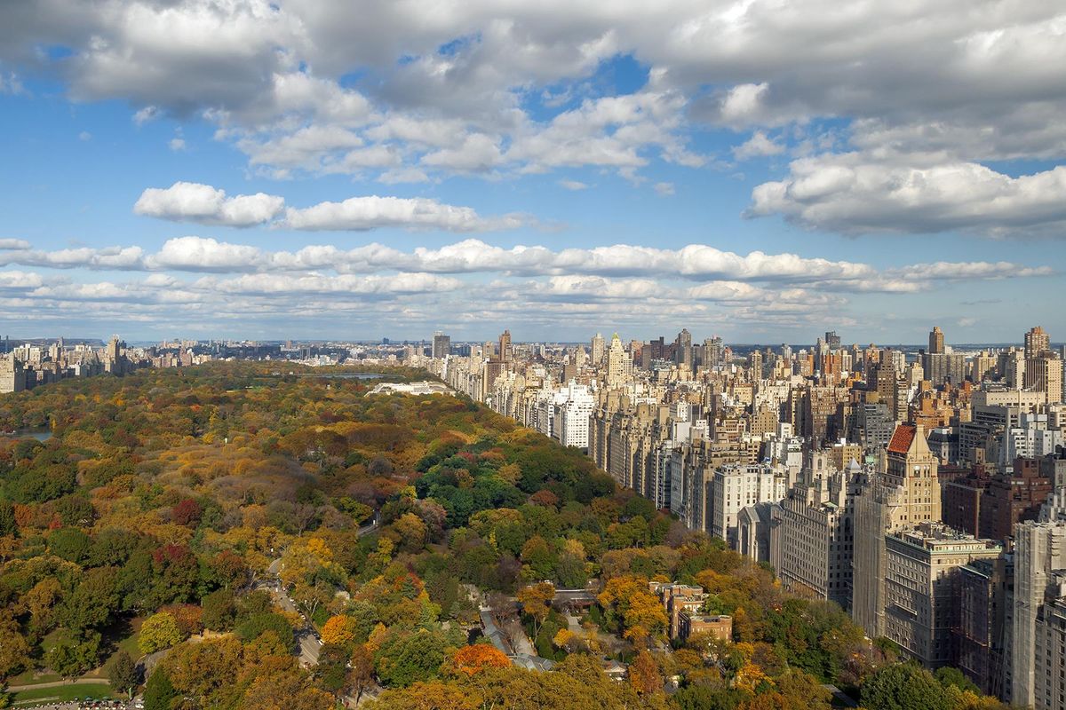 Park Lane Hotel - A Central Park Hotel фото 16