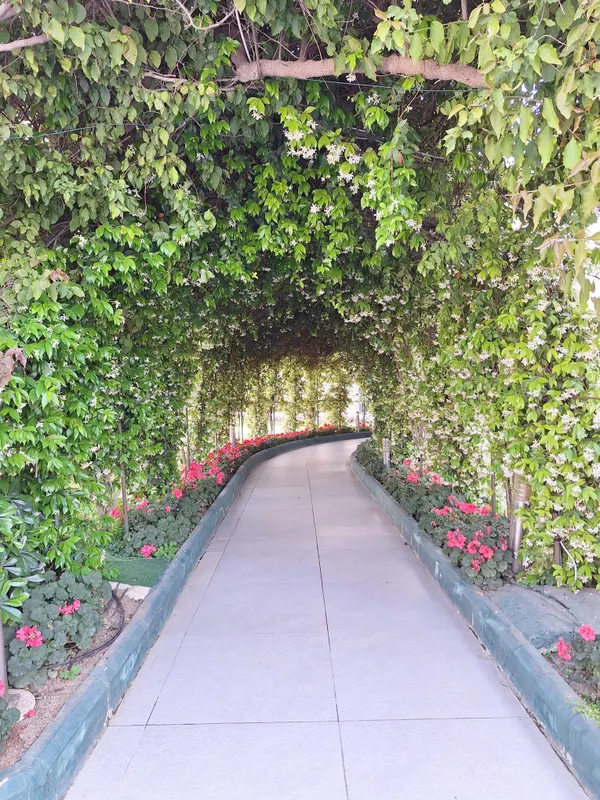 Innvista Hotel Belek фото 117