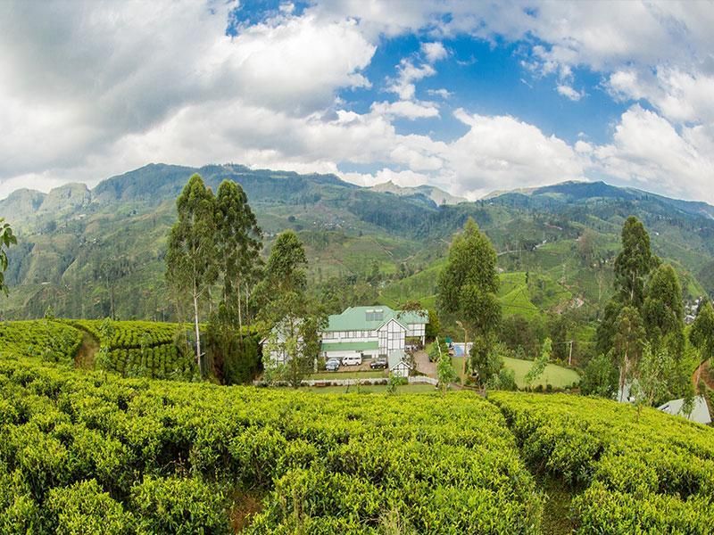 Amaya Langdale Nuwara Eliya фото 6