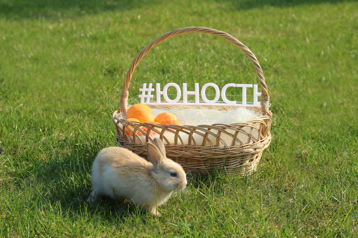 Санаторий «Юность» фото 51
