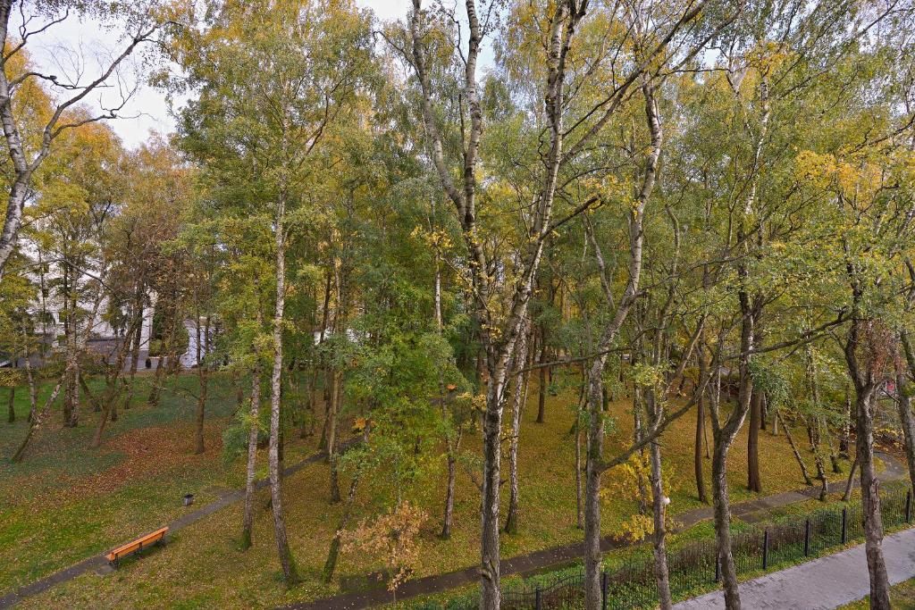 Кристалл Отель & Спа фото 28