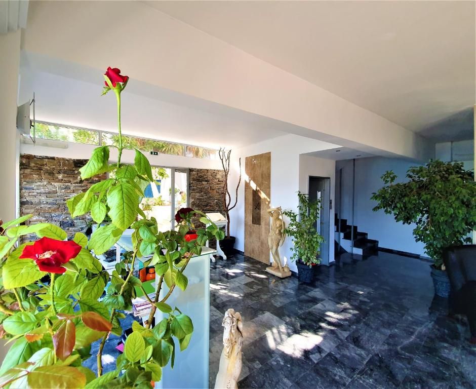 Porto Evia Boutique Hotel фото 11