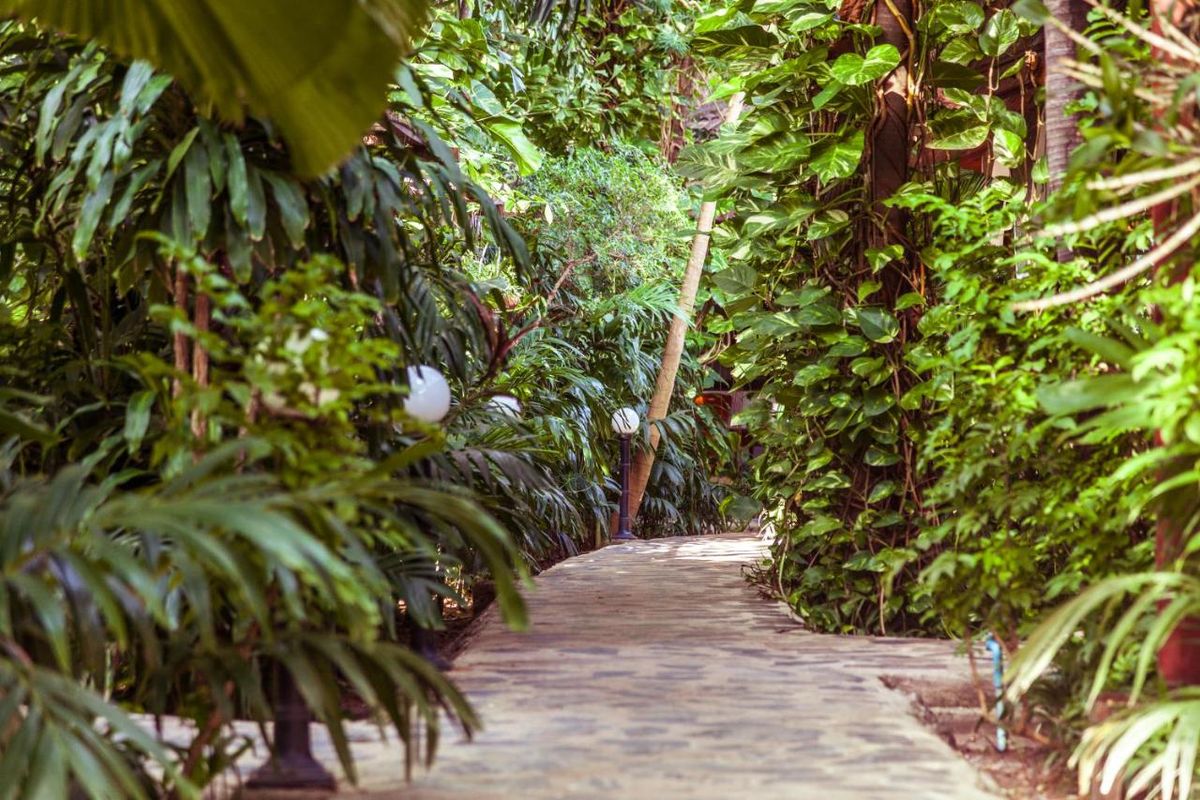 Tropica Bungalow Beach Hotel фото 12