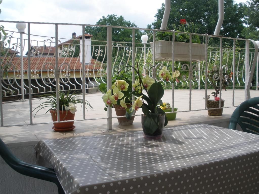 Hotel Sunny Park фото 6