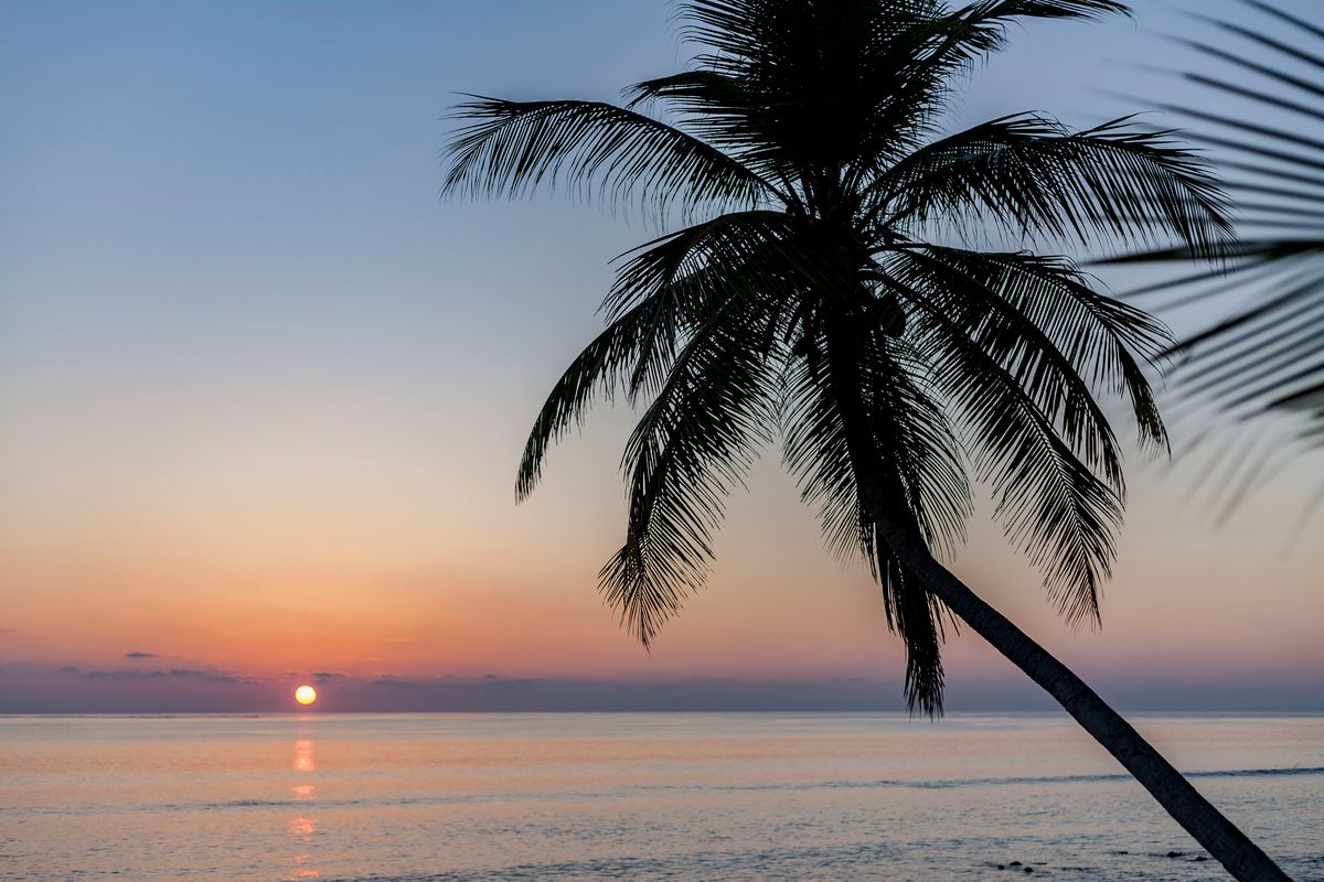 Dhonfulhafi Beach View & Spa фото 12