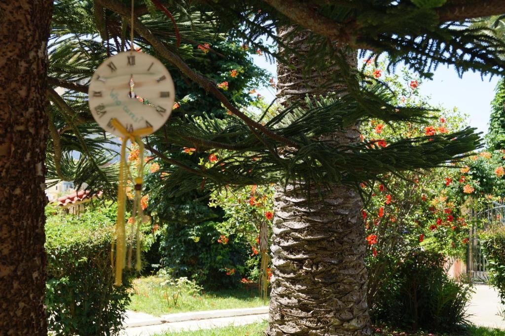 Brati Arcoudi Hotel фото 16