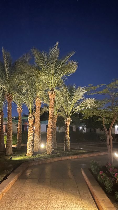 Ghazala Beach Hotel фото 57