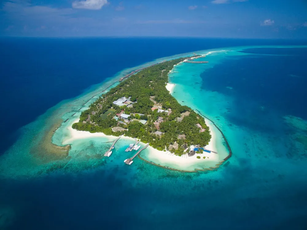 Niva Kuramathi Maldives фото 2