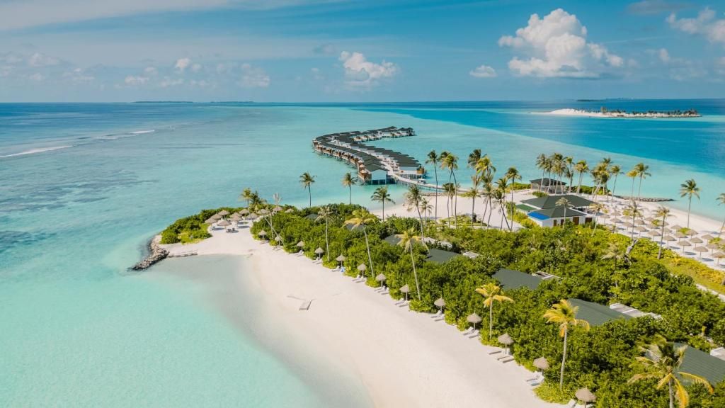 Joy Island фото 82