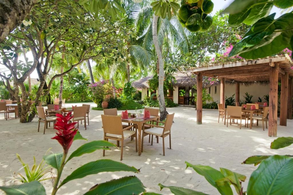Niva Kuramathi Maldives фото 151