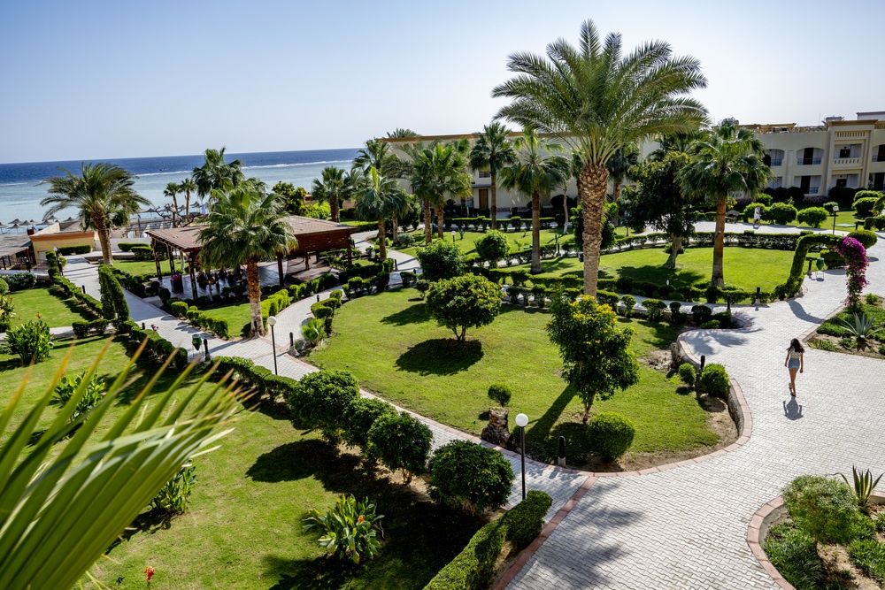 Blue Reef Red Sea Resort фото 33