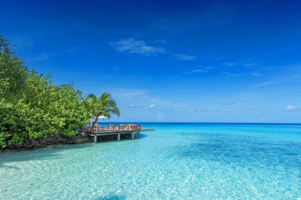 Makunudu Island (Adults Only) фото 47