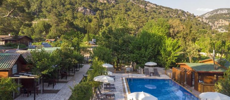 Фото отеля Koala Bungalows